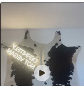 TikTok clip 1